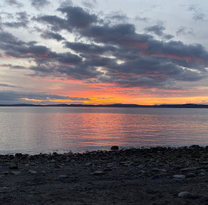 Meet your Posher, Millicent